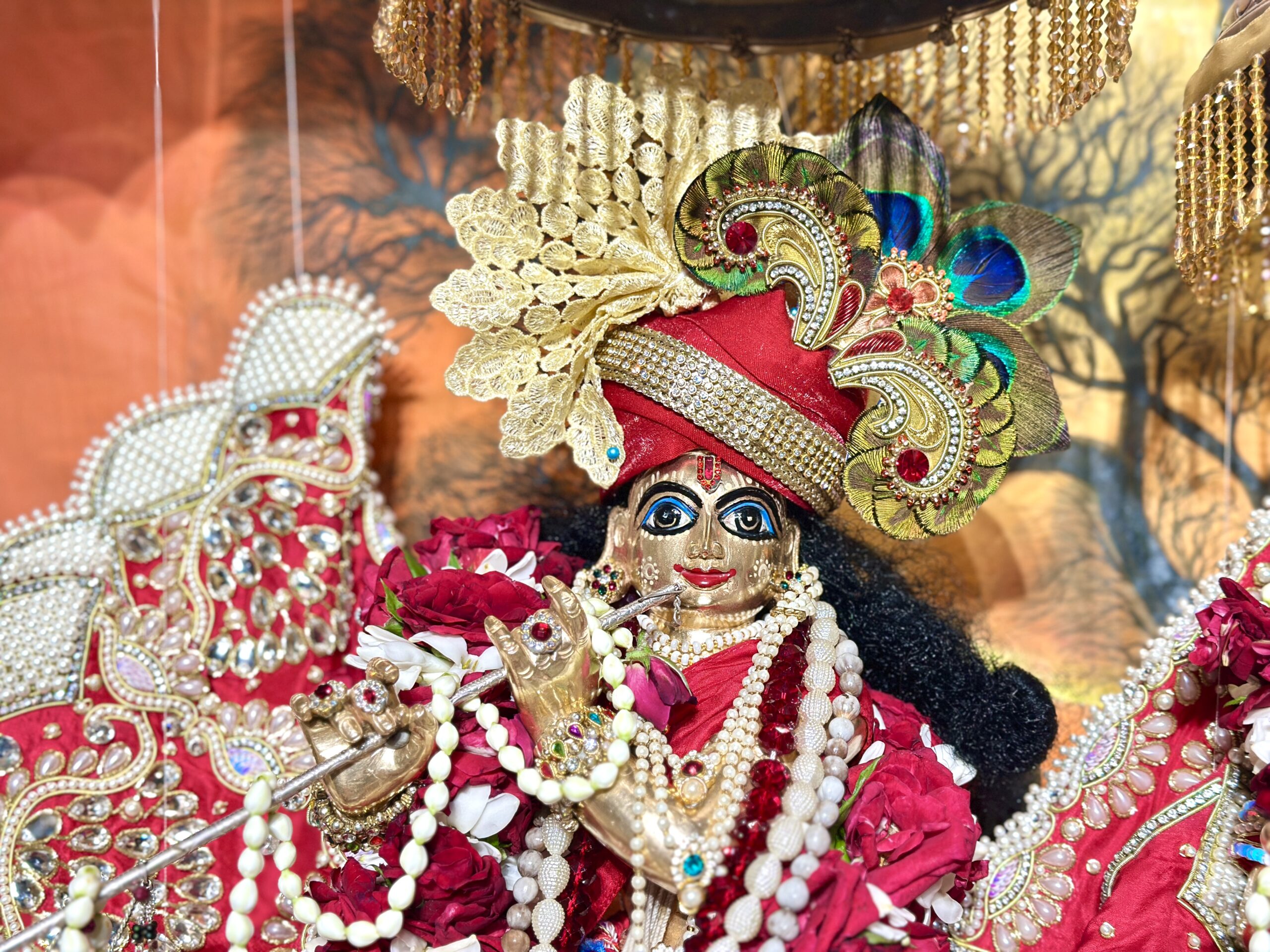 Beauty - Lord Krishna's Divine Form