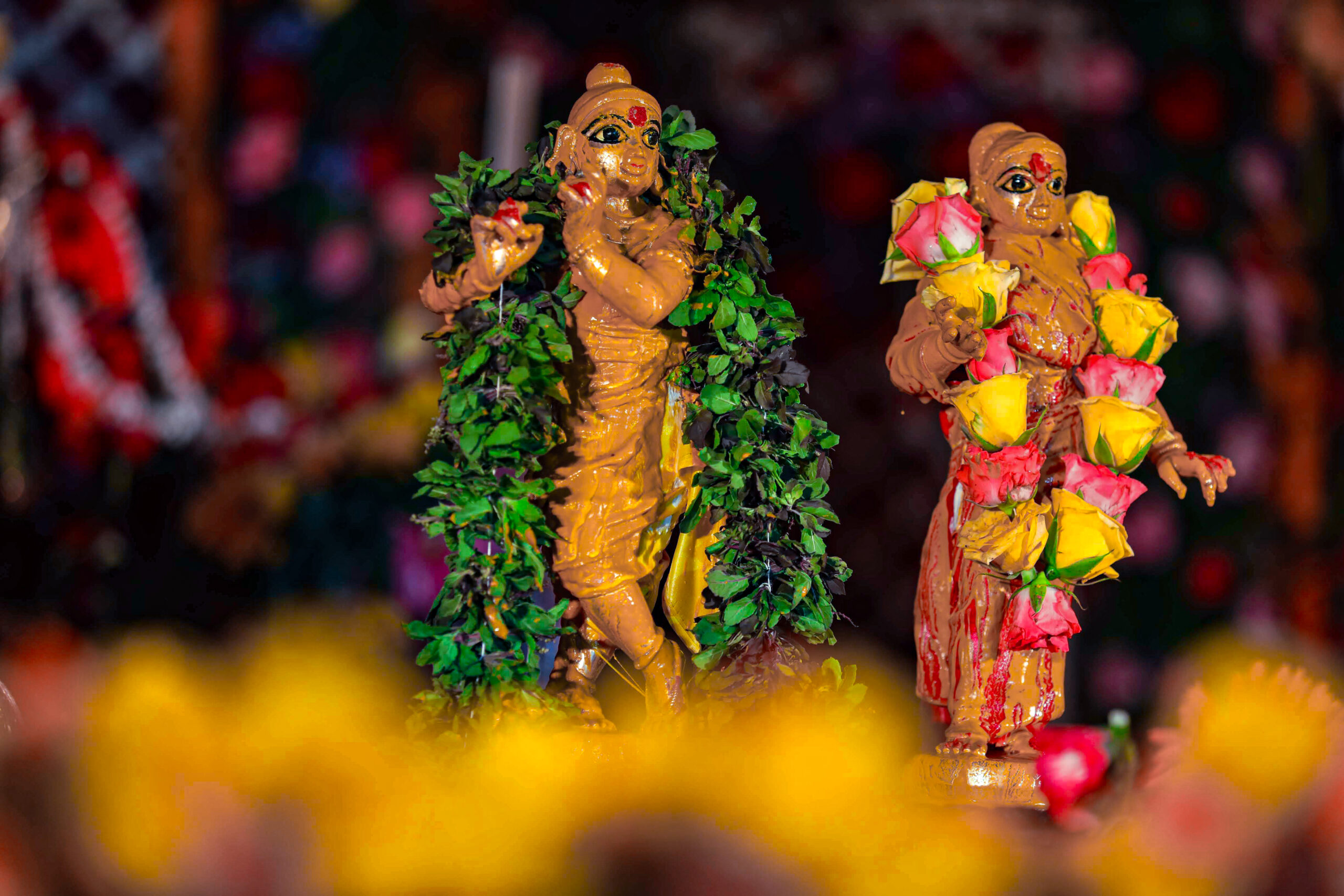 Krishna Janmashtami celebration with devotees